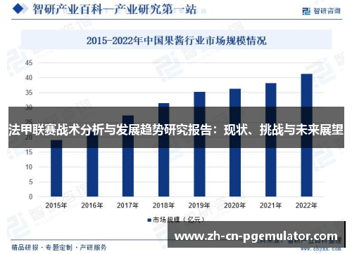 法甲联赛战术分析与发展趋势研究报告：现状、挑战与未来展望