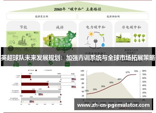 英超球队未来发展规划：加强青训系统与全球市场拓展策略