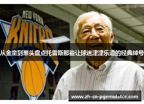 从金童到葱头盘点托雷斯那些让球迷津津乐道的经典绰号 从金童到葱头盘点托雷斯那些让球迷津津乐道的经典绰号