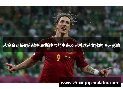 从金童到传奇前锋托雷斯绰号的由来及其对球迷文化的深远影响 从金童到传奇前锋托雷斯绰号的由来及其对球迷文化的深远影响