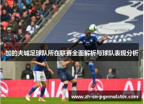 加的夫城足球队所在联赛全面解析与球队表现分析