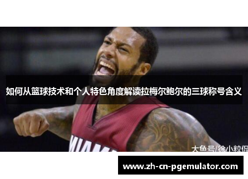 如何从篮球技术和个人特色角度解读拉梅尔鲍尔的三球称号含义