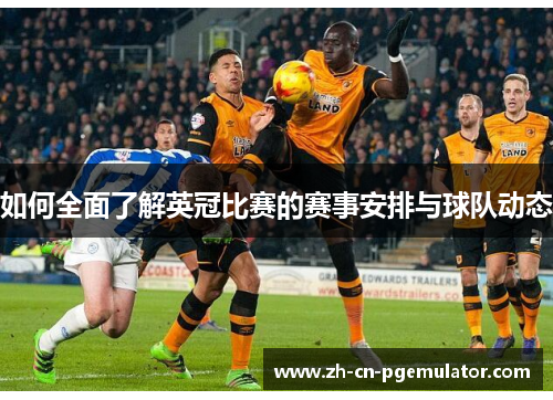 如何全面了解英冠比赛的赛事安排与球队动态
