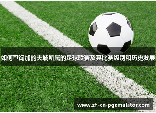 如何查询加的夫城所属的足球联赛及其比赛级别和历史发展