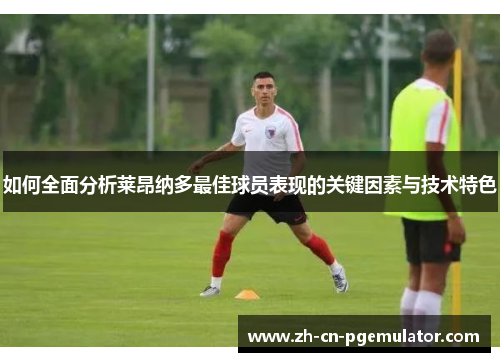 如何全面分析莱昂纳多最佳球员表现的关键因素与技术特色