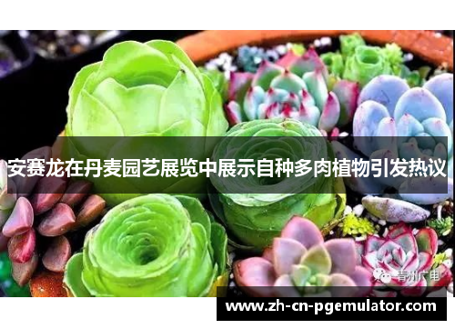 安赛龙在丹麦园艺展览中展示自种多肉植物引发热议