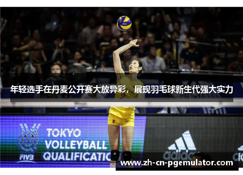 年轻选手在丹麦公开赛大放异彩，展现羽毛球新生代强大实力