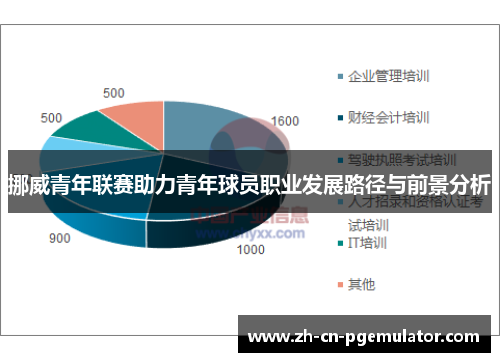 挪威青年联赛助力青年球员职业发展路径与前景分析